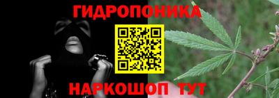 ECSTASY Лесосибирск