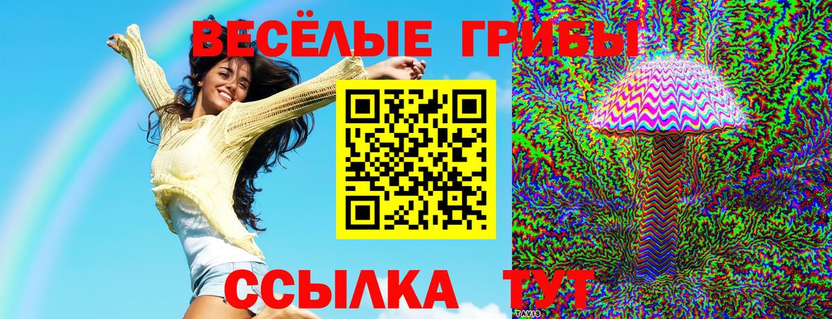 Галлюциногенные грибы GOLDEN TEACHER Волгодонск